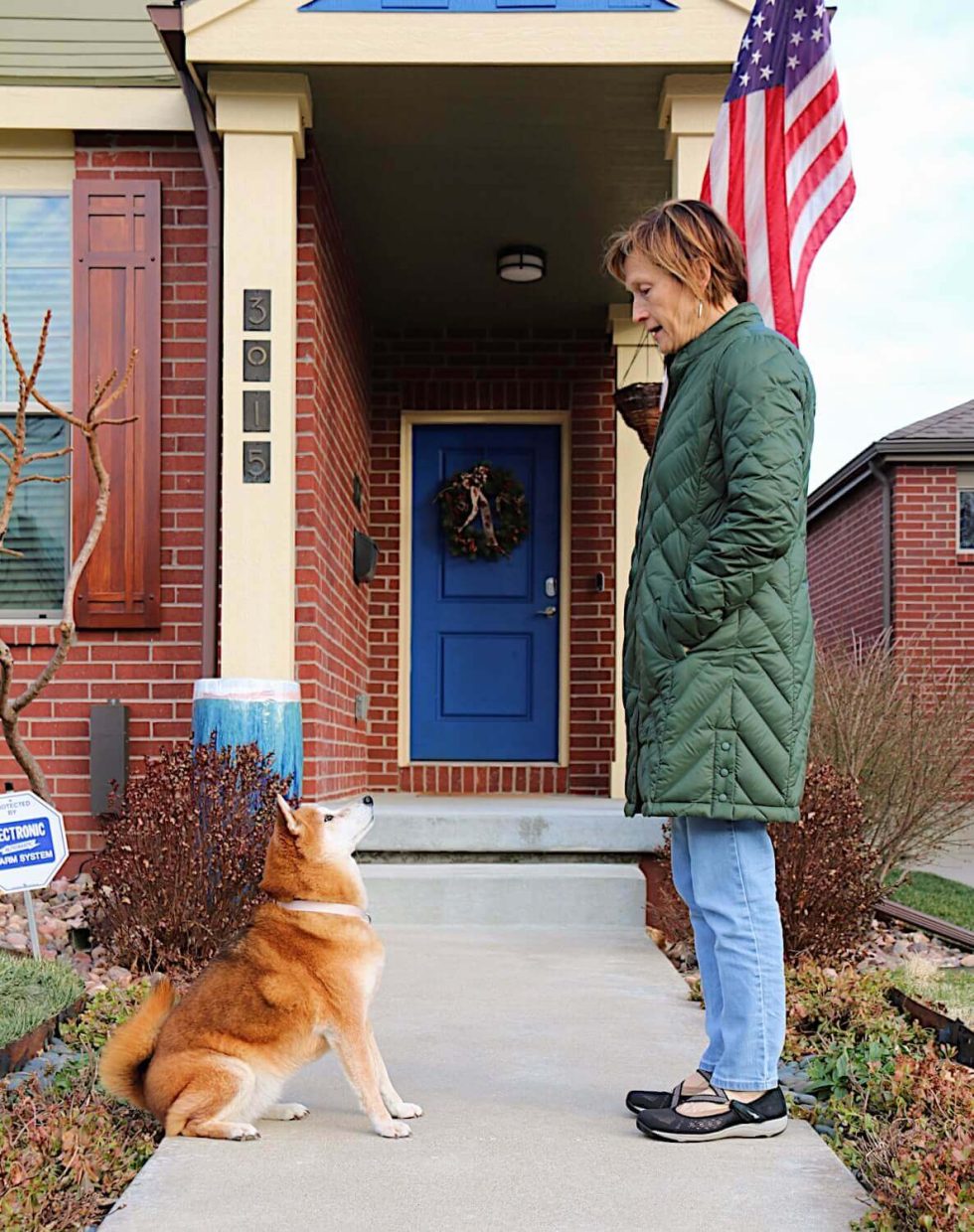 Pawsitively Polite Dog Training Kansas City