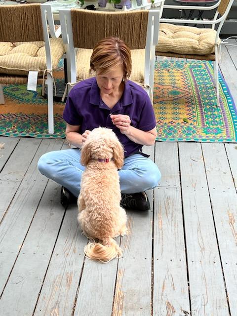 Reasons to Use Positive Reinforcement in Dog Training