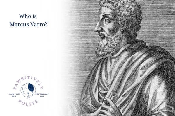 Who is Marcus Varro?