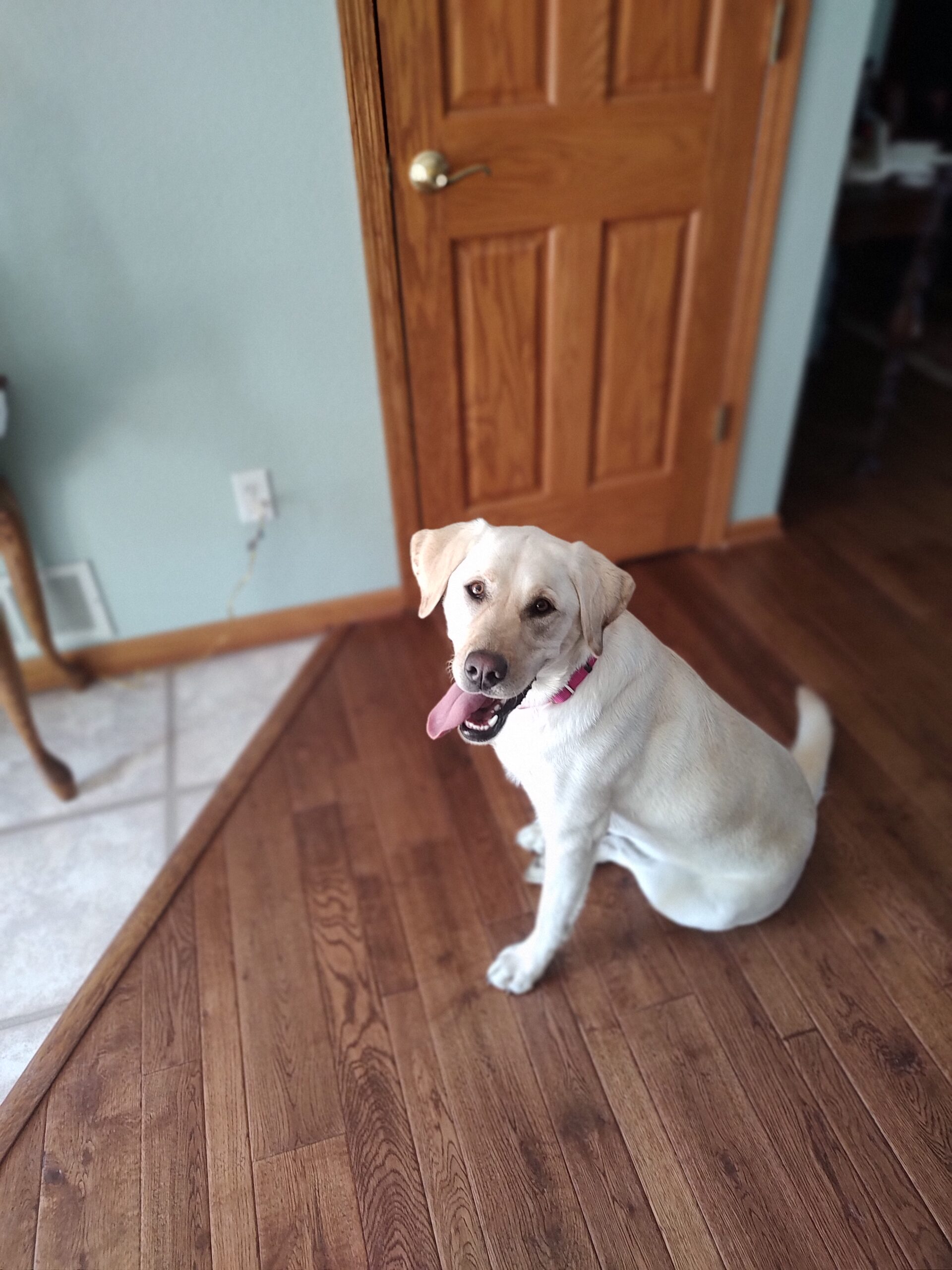 IMG_20220214_110819333_MF_PORTRAIT (1)